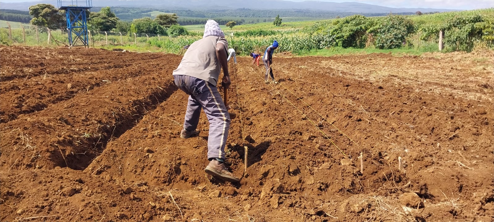 Climate Change Adaptation: