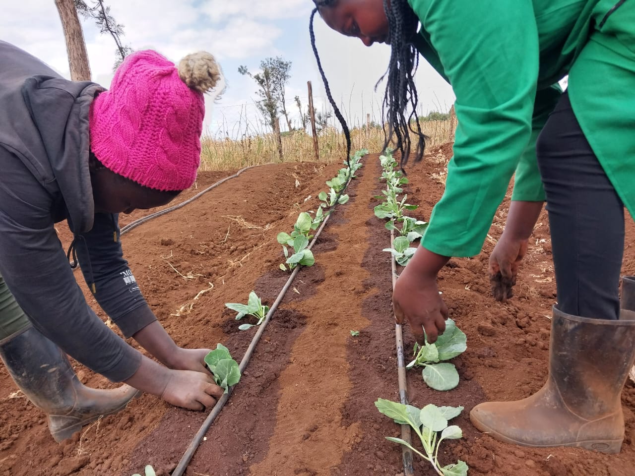 Good Agronomic Practices Training