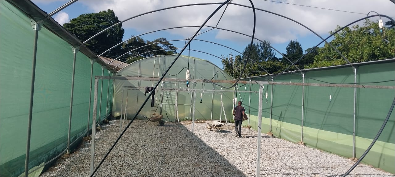 Sector-Specific Training: